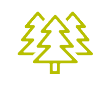 Forest Stewardship Council®